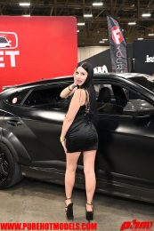 ImportExpo-157