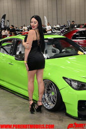ImportExpo-178