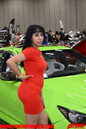 ImportExpo-184