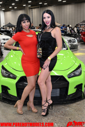 ImportExpo-204