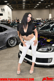 ImportExpo-245