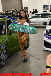 ImportExpo-253