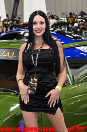 ImportExpo-272