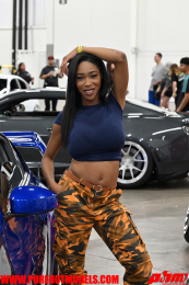 ImportExpo-331