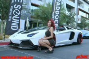 PIC_2961-modified-copy