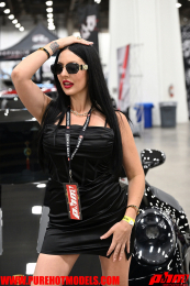 ImportExpo-52