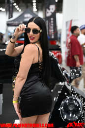 ImportExpo-58