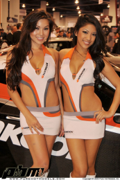 DSC_3881