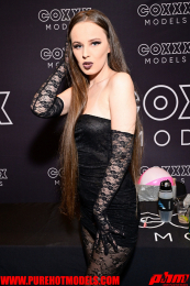 ADay2-817