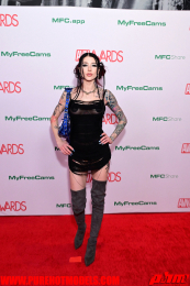 RedCarpet-508
