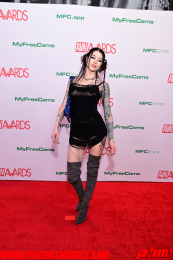 RedCarpet-512