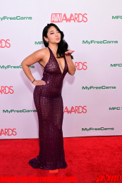 RedCarpet-530