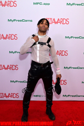 RedCarpet-1015