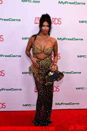RedCarpet-1140