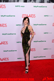 RedCarpet-1511