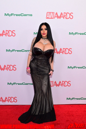 RedCarpet-2560