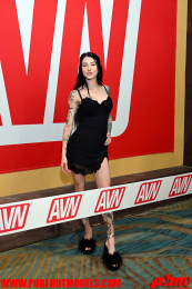 AVNDay1-11