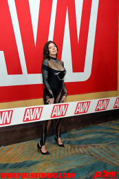 AVNDay1-20