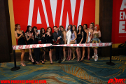 AVNDay1-41