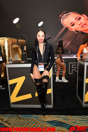 AVNDay2-2