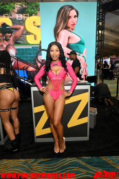 AVNDay2-9