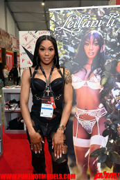 AVNDay2-813