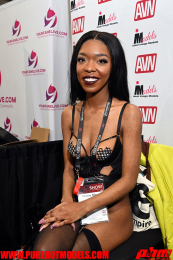 AVNDay3-804